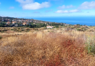 PLOT, TERRENO EN TAUCHO, TAUCHO (ADEJE)